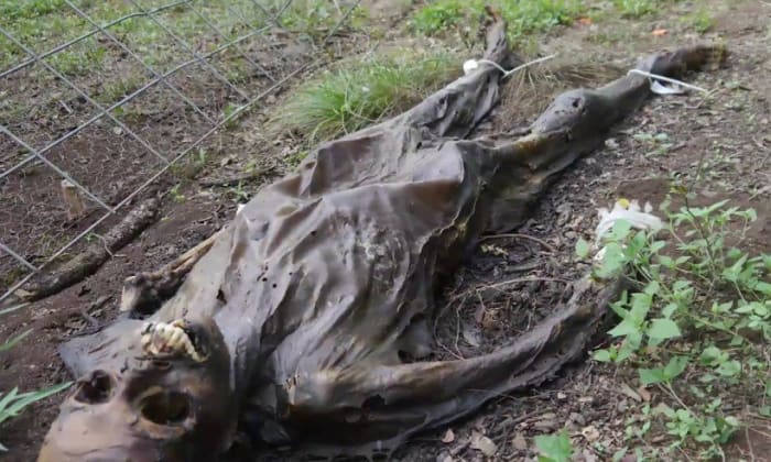 Za druhé a možná ještě důležitější je, že naše těla a naše kůže jsou vyrobeny z organické hmoty. Lidské tělo je v neustálém stavu rozkladu a je nemožné zastavit tento proces. Naše tetování stárne přirozeně stejně jako my, jen v různých sazbách v závislosti na povaze a péči. A když zemřeme, naše těla se nadále rozkládají, dokud nezůstane jen kostra. A dokonce ani naše kostry nejsou trvalé, protože určitá bakteriální prostředí mohou urychlit rychlost rozkladu v našich kostech.