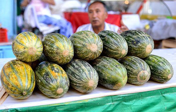 Melon Ich-kzyl Ouzbek 331
