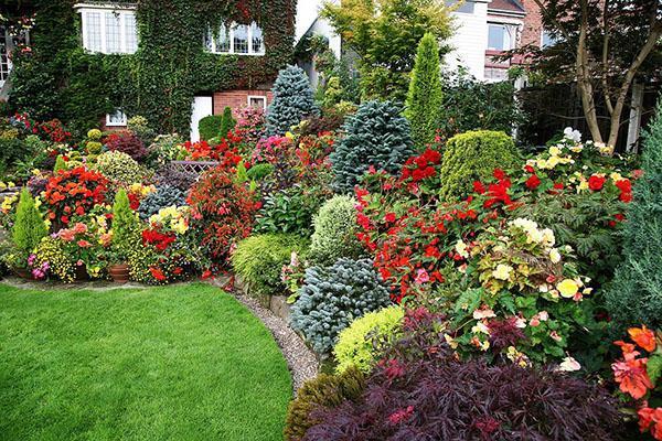 jardin de fleurs anglais