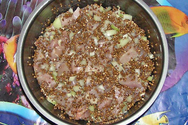 coloque los ingredientes