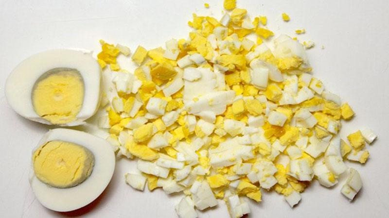 hervir huevos de gallina