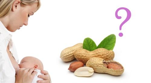 cacahuètes lors de l'alimentation