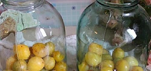 poner ciruelas en frascos
