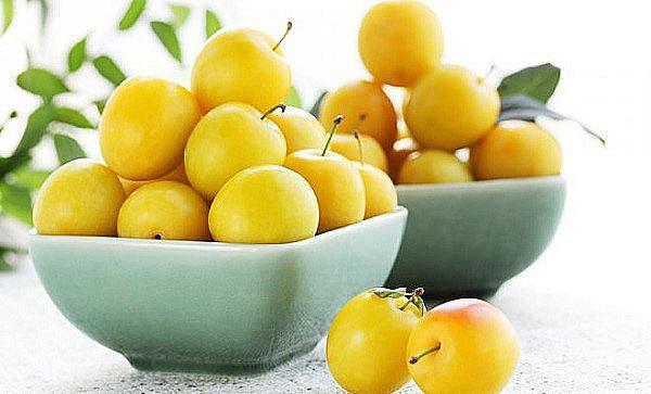 prune jaune pour compote