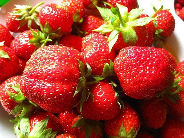 seigneur fraise