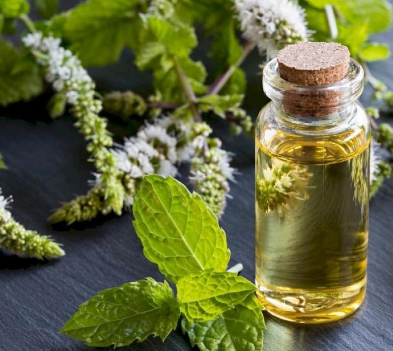 huile de menthe poivrée