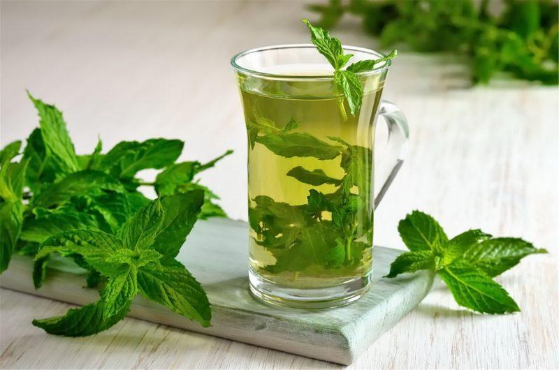 décoction de menthe poivrée