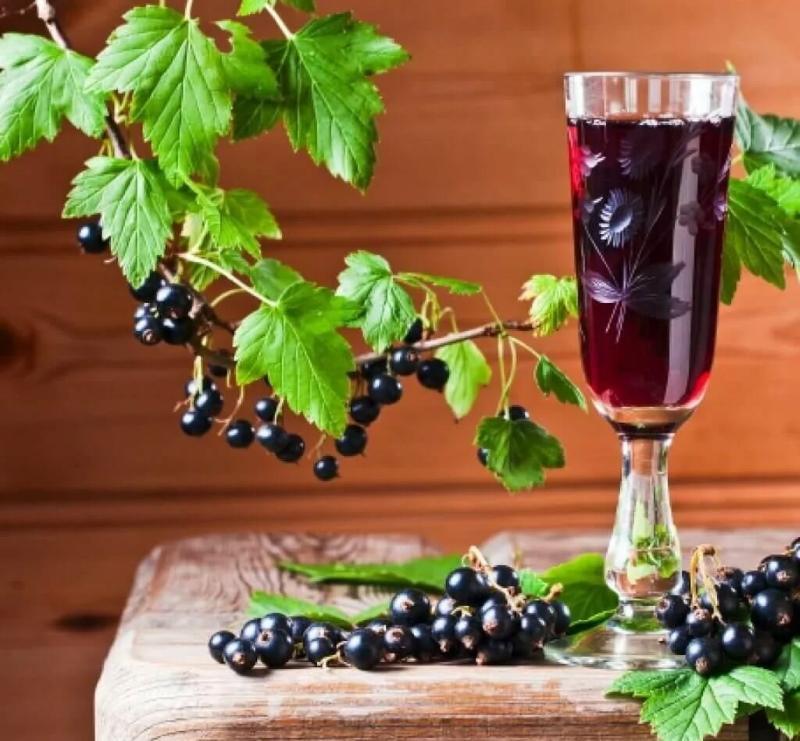 teinture de cassis sur recette de vodka