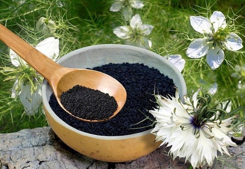 cumin noir propriétés médicinales et contre-indications