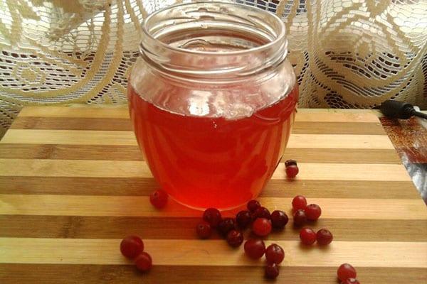 compota de arándanos rojos sin esterilizar