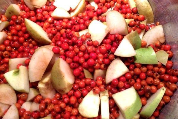 manzanas y arándanos rojos para compota