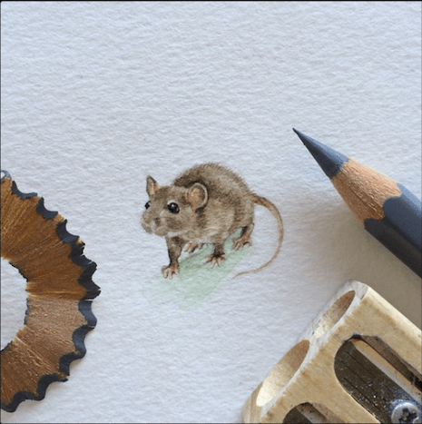 من كان يعلم أنه يمكنك جعل الفأر أصغر؟