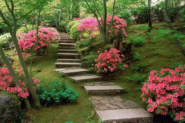 Azaleas en diseño de paisaje