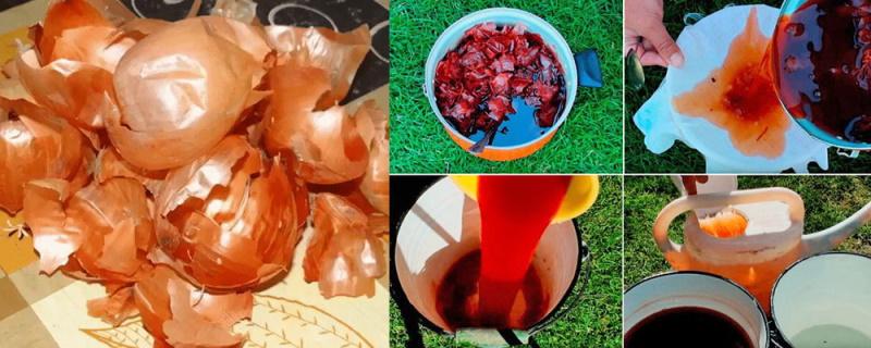 utiliser dans le jardin de pelure d'oignon pour les semis