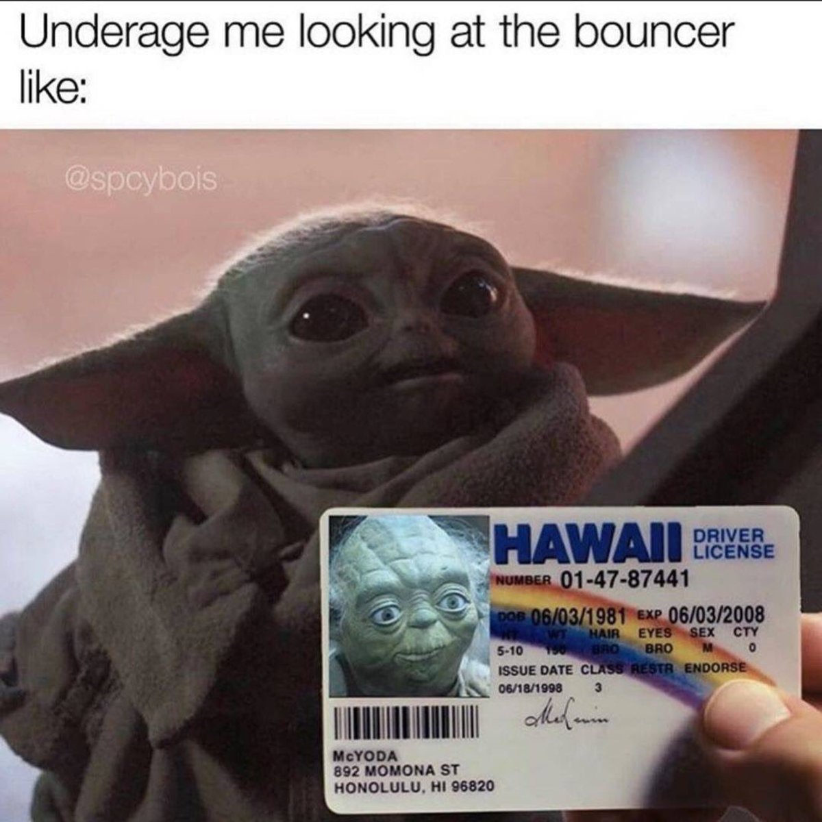 Über @spcybois