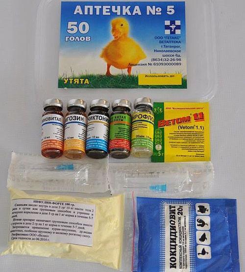 trousse de premiers soins vétérinaires pour poulets de chair