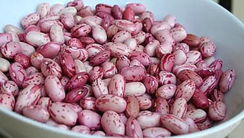 haricots pour salade