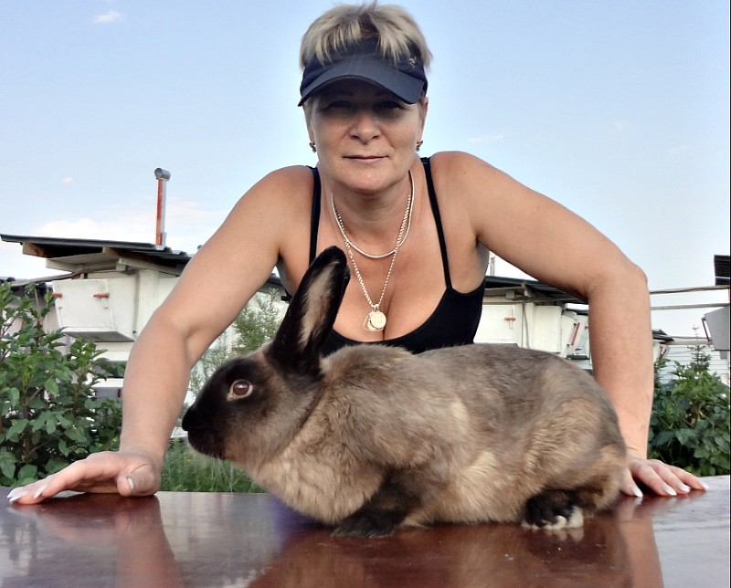 les lapins élèvent un grand marder