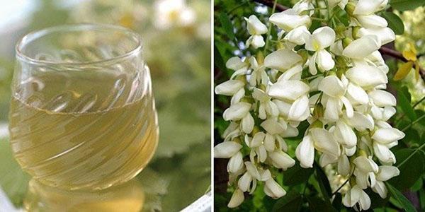 acacia blanca en la medicina popular