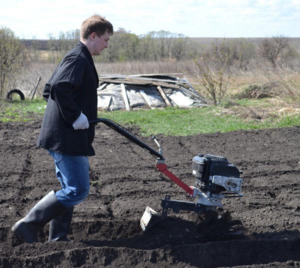 Cultivateur Tarpan