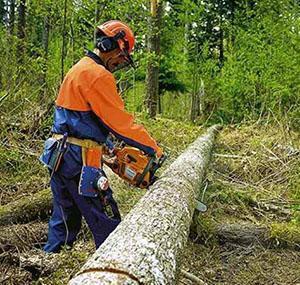 Moment de travail avec le partenaire tronçonneuse 350