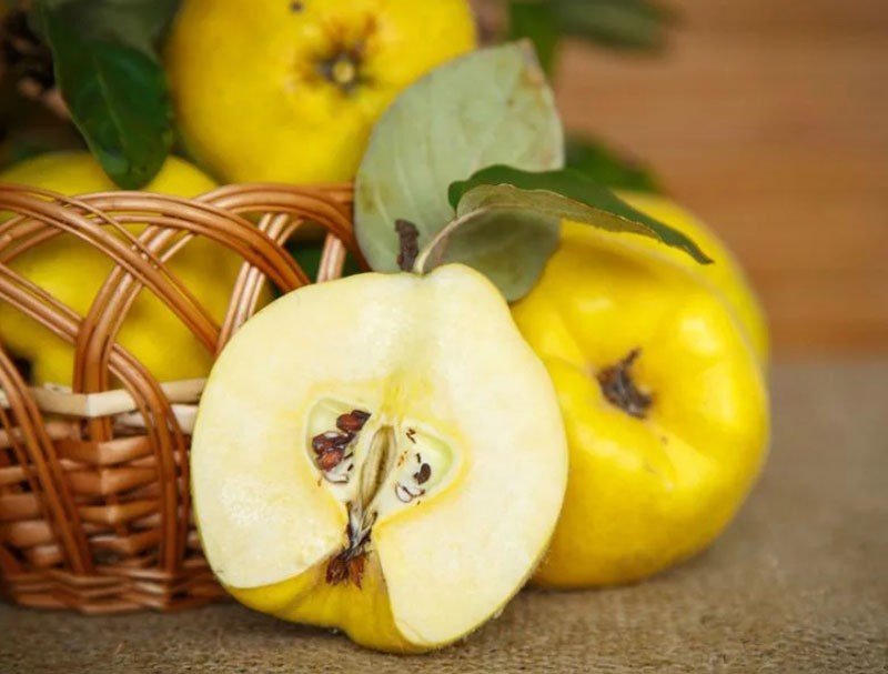 fruits de coing en coupe