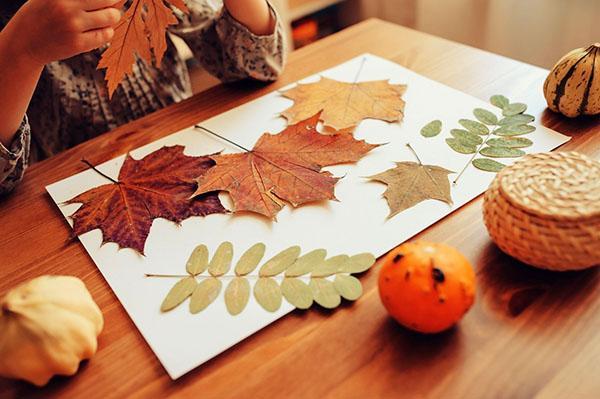 créer une peinture à partir de feuilles