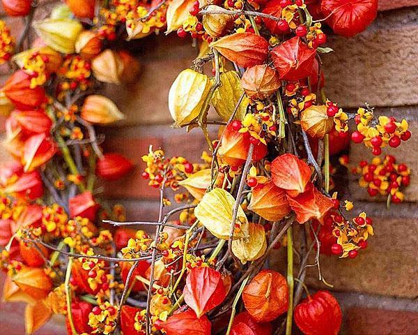 couronne de physalis