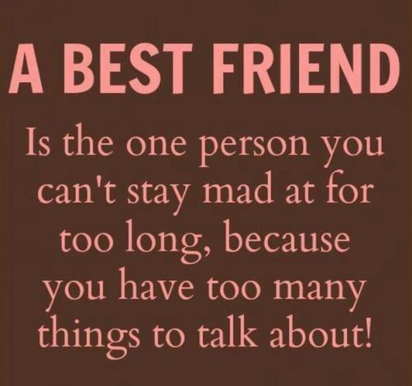 Nejlepší přítel je osoba, na kterou nemůžete zůstat naštvaní příliš dlouho