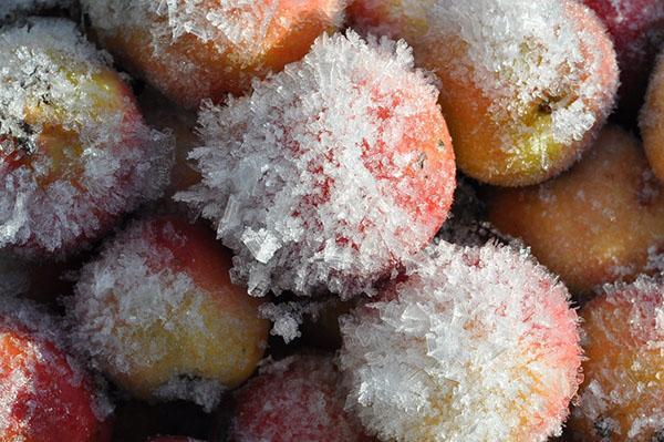 congeler des pommes pour l'hiver