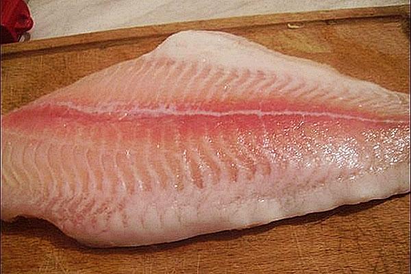 preparar carne picada a partir de filetes de pescado