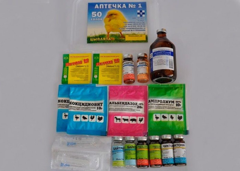 medicina veterinaria para aves de corral