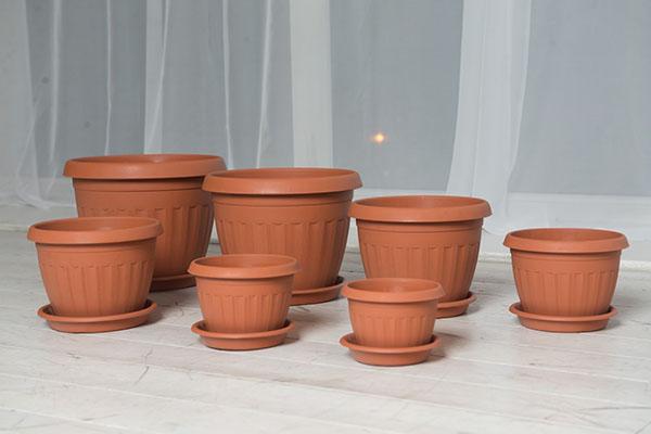 sélection de pots