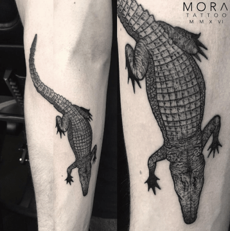 Schwarz-grauer Alligator von Simon Mora.