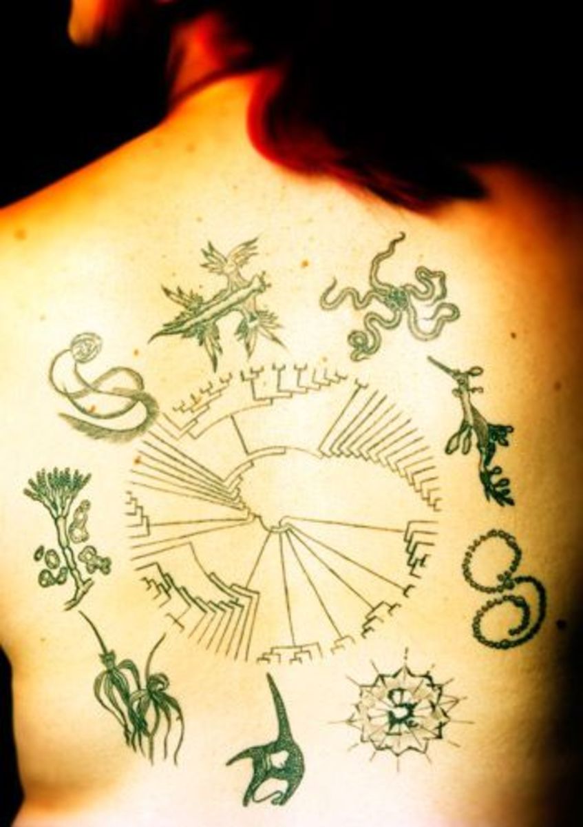 Eines der Tree of Life Tattoos von Science Ink.