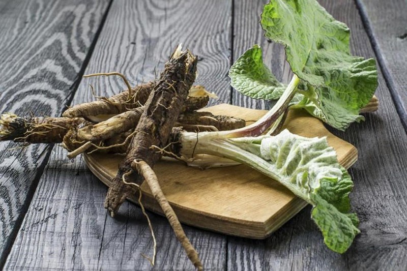 rhizomes de bardane contre le diabète