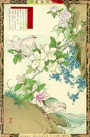 Les Japonais ont des fleurs d'azalée dédiées à la beauté sensuelle des femmes.