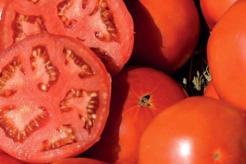 corte de fruta de tomate