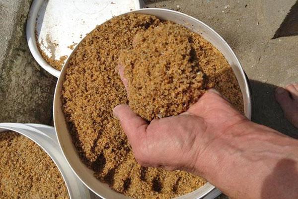 Puré de codorniz
