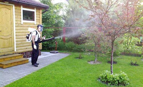 Tratamiento de plantas contra enfermedades.