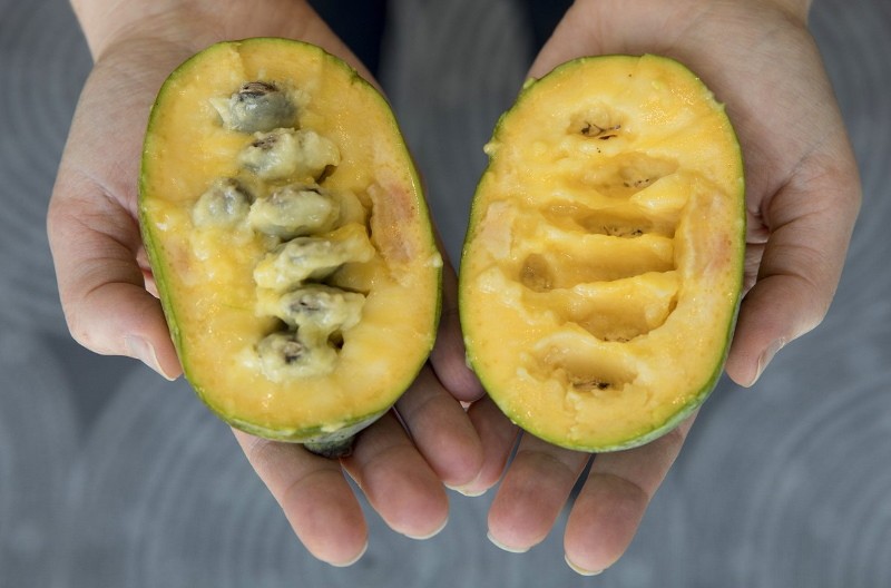 fruta de papaya