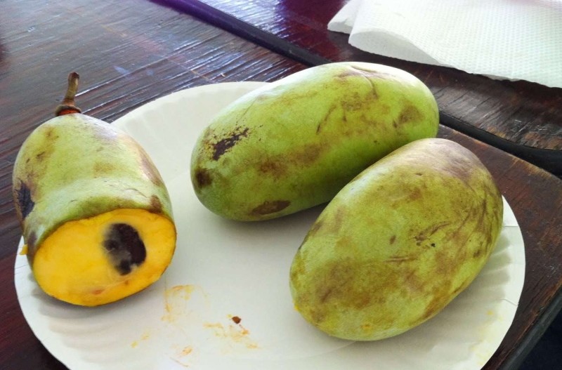 beneficios de las frutas de papaya