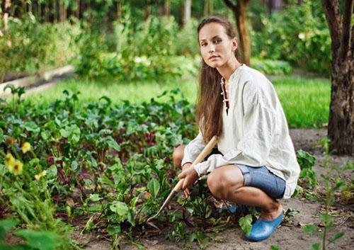 Soins d'été à la betterave