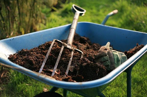 fertilisant organique