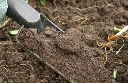 fertilisation du fumier
