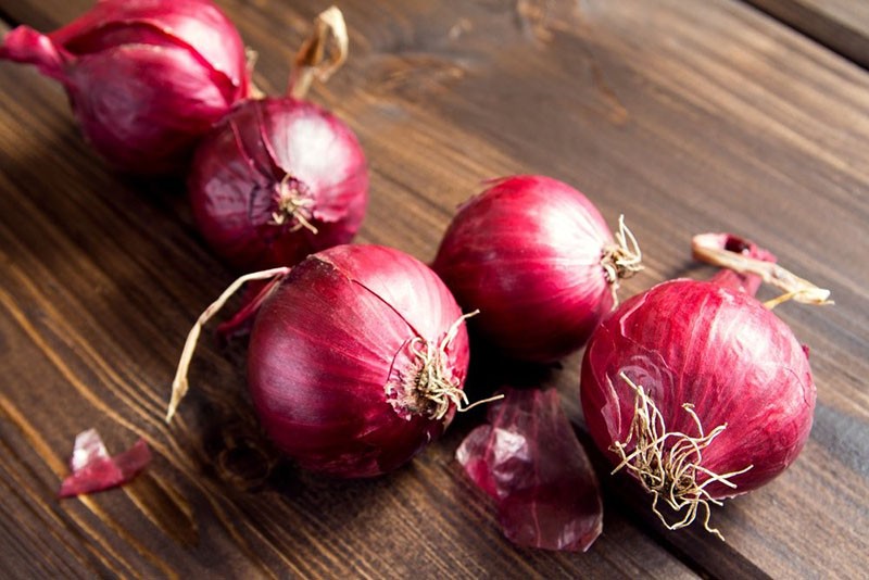 les meilleures variétés d'oignons rouges