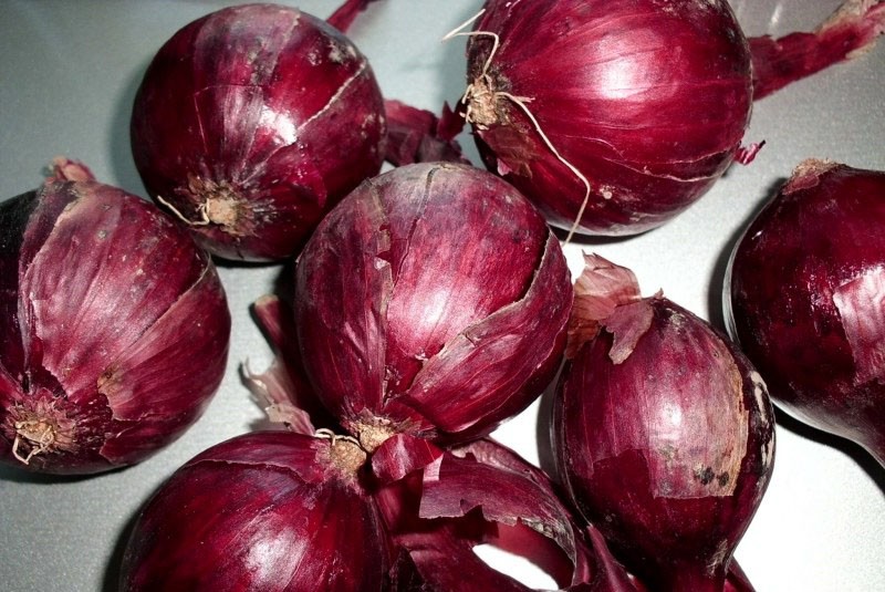 boule pourpre de variété