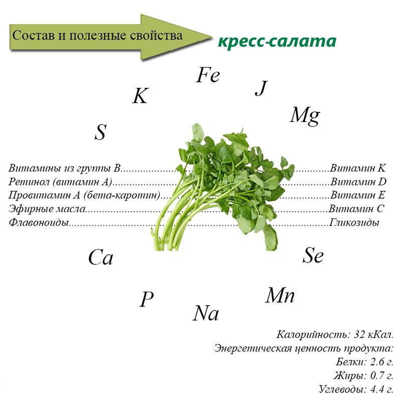 composition et propriétés utiles du cresson