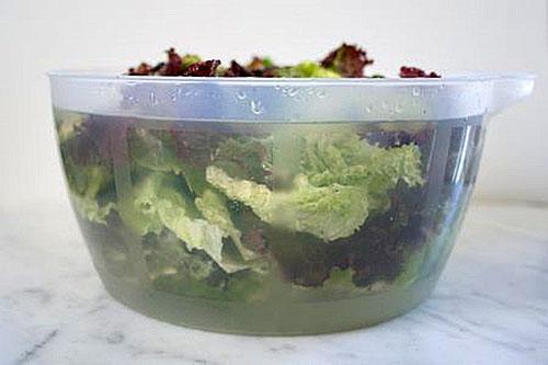 conservation de la salade dans un récipient