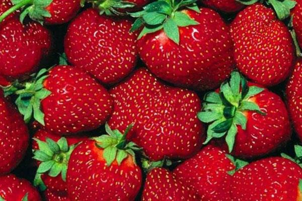 las fresas contienen mucha vitamina C